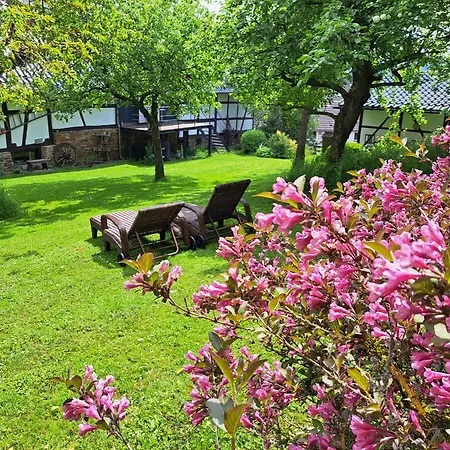 Apartment Am Aremberg / Eifel Antweiler