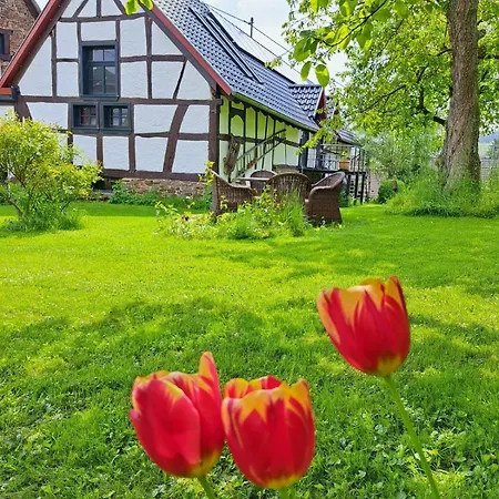 Am Aremberg / Eifel *