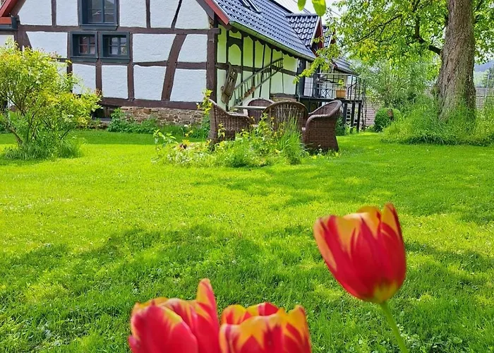 Am Aremberg / Eifel *